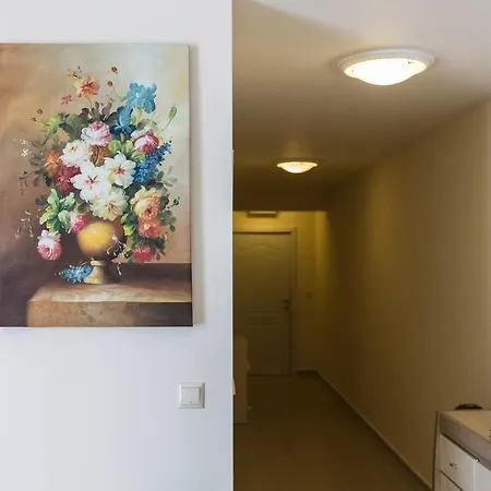 Luxury 2bedroom Apart With Large Terrace Rj * 阳光海滩